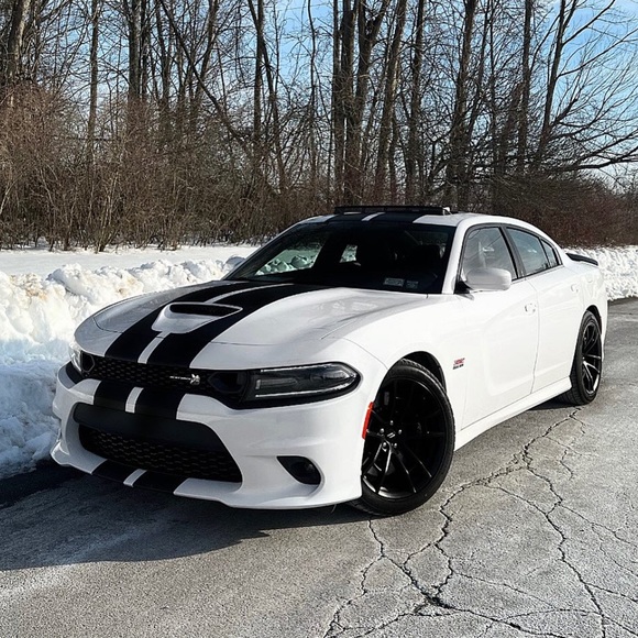 Meet the posher diizelle! - Picture 8 of 9